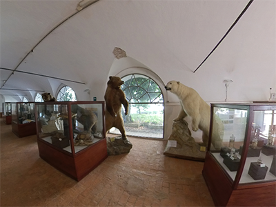 Calci Museo Storia Naturale