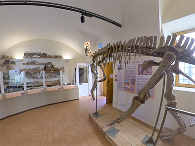 Calci Museo Storia Naturale