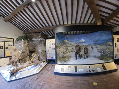 Calci Museo Storia Naturale