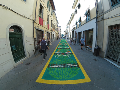 Pisa Camaiore Tappeti di segatura