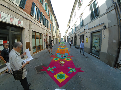 Pisa Camaiore Tappeti di segatura