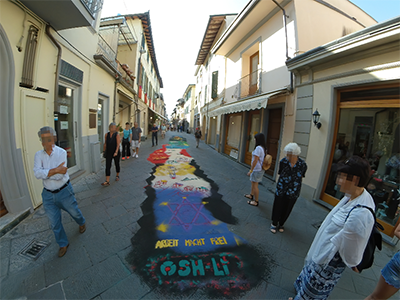 Pisa Camaiore Tappeti di segatura