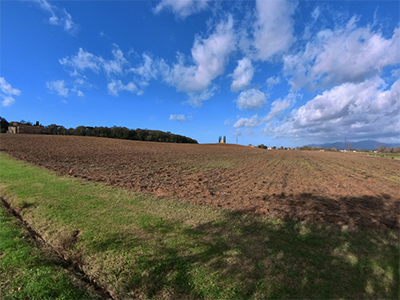 Pisa Camugliano