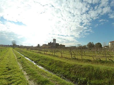 Pisa Cascina Badia San Savino