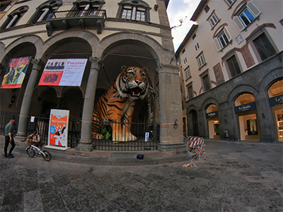 Lucca Carnevale