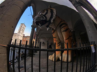 Lucca Carnevale