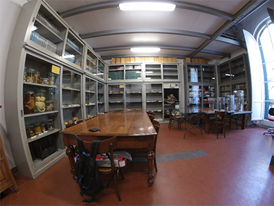 Pisa Museo di Anatomia Patologica