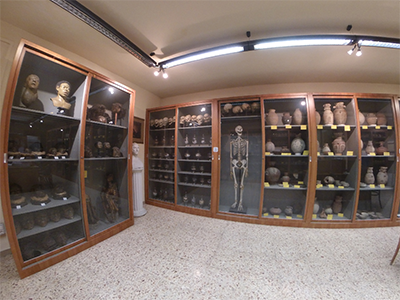 Pisa Museo di Anatomia Umana