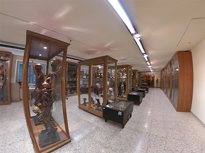 Pisa Museo di Anatomia Umana