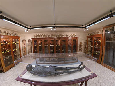 Pisa Museo di Anatomia Umana