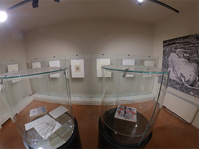 Pisa Museo Grafica