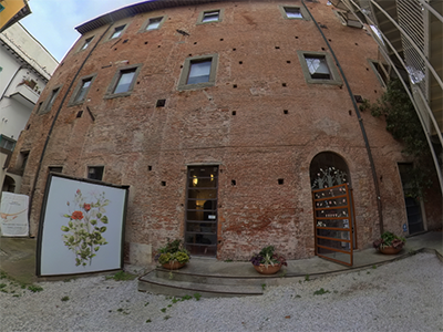 Pisa Museo Grafica