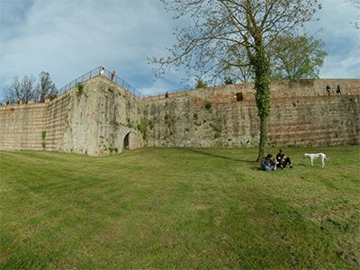 Pisa Pisa Parco delle Concette