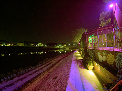 Pisa summer nightlife