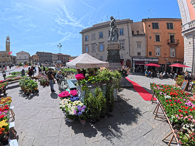 Pisa VerdePisa