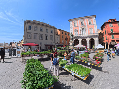 Pisa VerdePisa