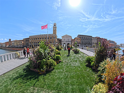 Pisa VerdePisa