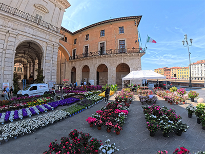 Pisa VerdePisa